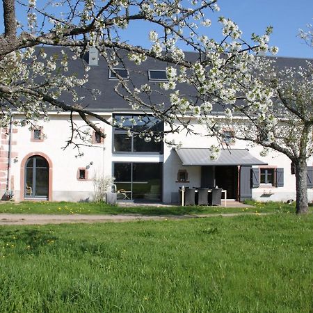 La Colline Du Baa - Maison D'Hotes D'Exception Lapoutroie Exterior foto
