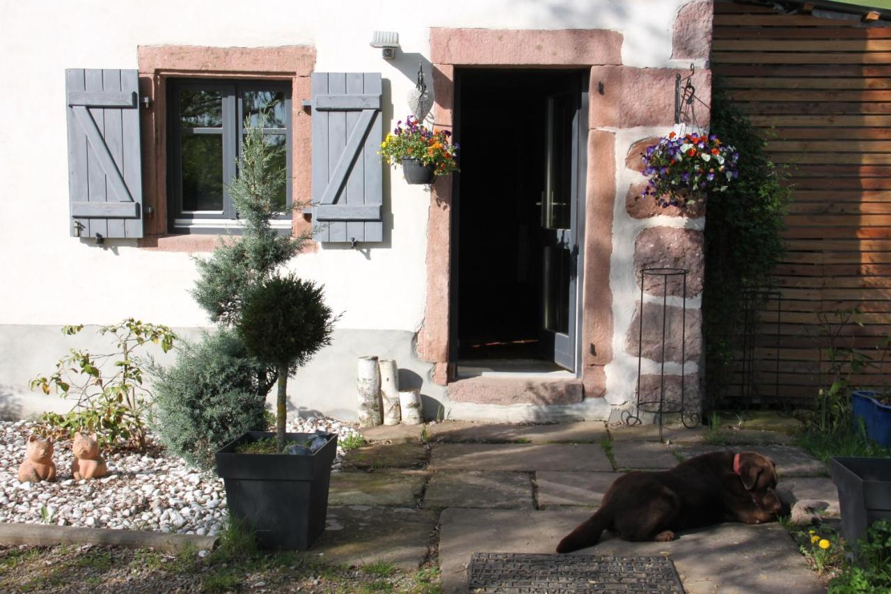 La Colline Du Baa - Maison D'Hotes D'Exception Lapoutroie Exterior foto